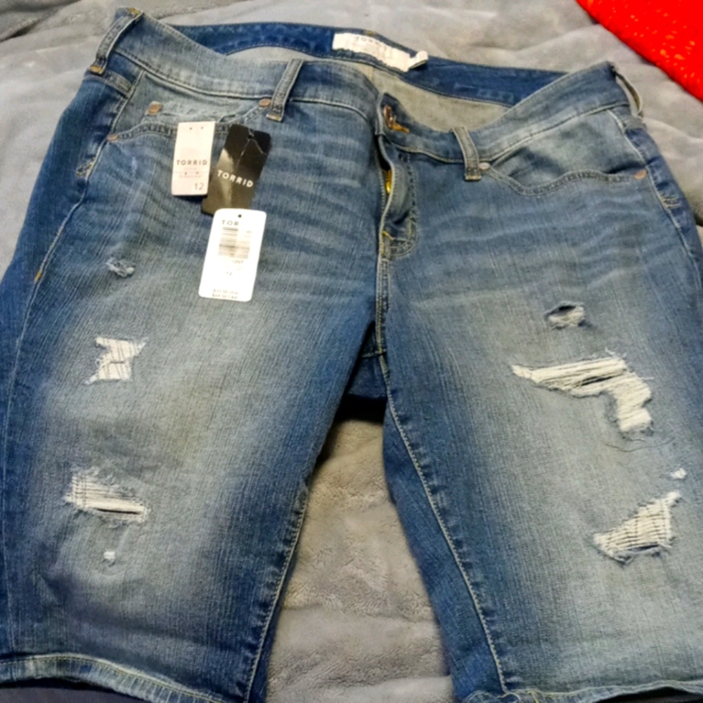 Torrid wemons shorts
